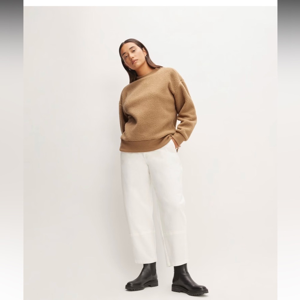 Everlane ReNew Fleece Oversized Crew - Picture 4 of 11